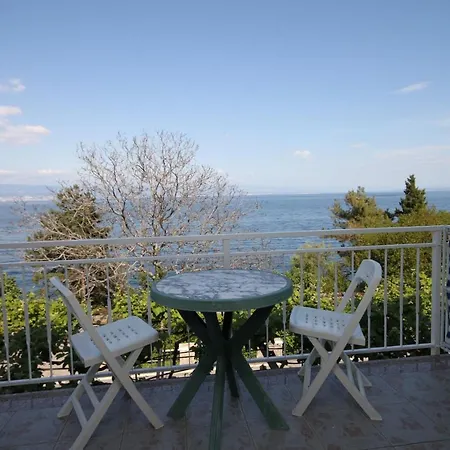 Double Medveja 7775d