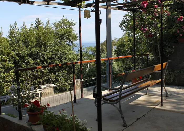 Double Medveja 7775d